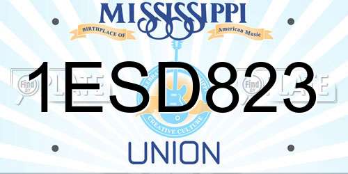 1ESD823 Mississippi License Plate