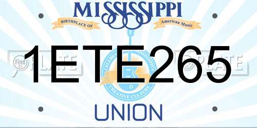 1ETE265 Mississippi License Plate