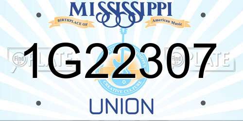 1G22307 Mississippi License Plate