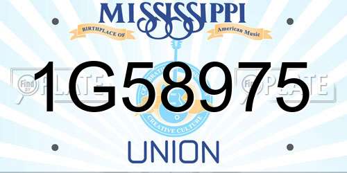 1G58975 Mississippi License Plate
