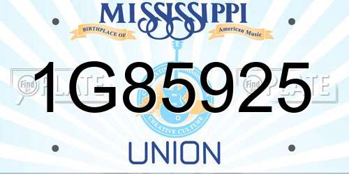 1G85925 Mississippi License Plate