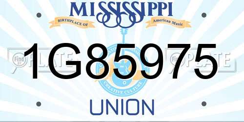 1G85975 Mississippi License Plate