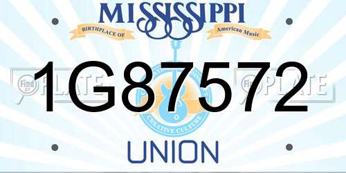 1G87572 Mississippi License Plate
