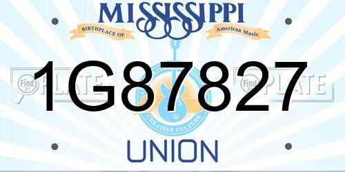 1G87827 Mississippi License Plate