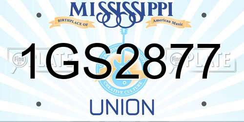 1GS2877 Mississippi License Plate