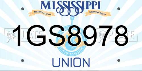 1GS8978 Mississippi License Plate
