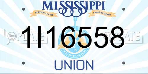 1I16558 Mississippi License Plate