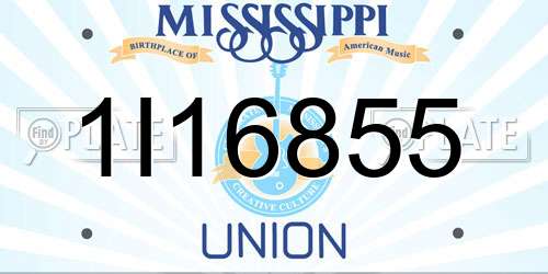 1I16855 Mississippi License Plate