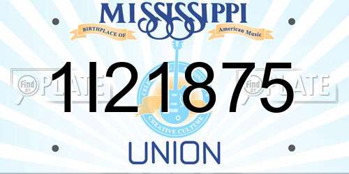 1I21875 Mississippi License Plate