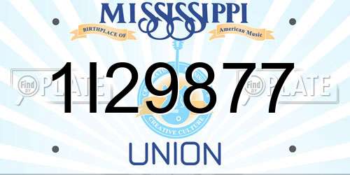1I29877 Mississippi License Plate