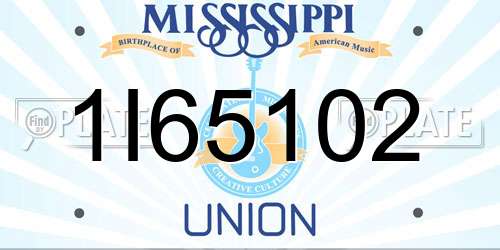 1I65102 Mississippi License Plate