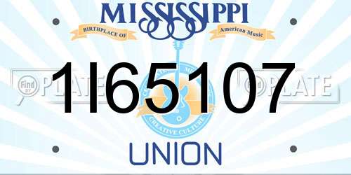 1I65107 Mississippi License Plate