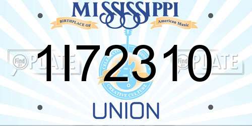 1I72310 Mississippi License Plate