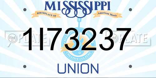 1I73237 Mississippi License Plate