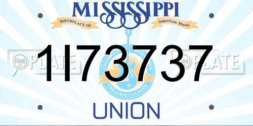 1I73737 Mississippi License Plate