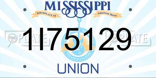 1I75129 Mississippi License Plate