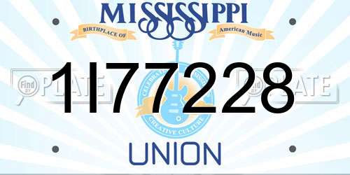 1I77228 Mississippi License Plate