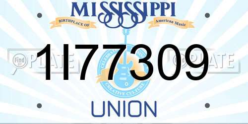 1I77309 Mississippi License Plate