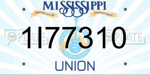 1I77310 Mississippi License Plate