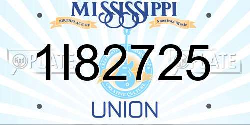 1I82725 Mississippi License Plate