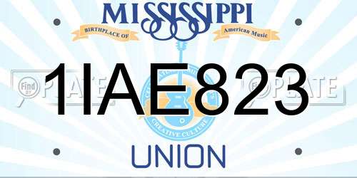 1IAE823 Mississippi License Plate