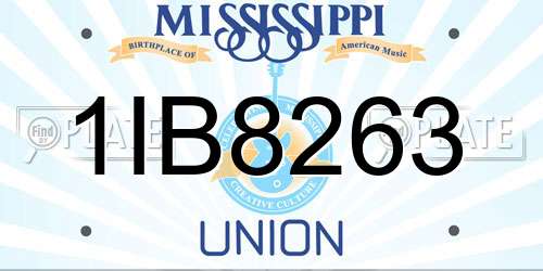 1IB8263 Mississippi License Plate