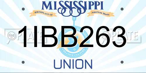 1IBB263 Mississippi License Plate