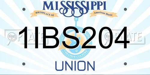 1IBS204 Mississippi License Plate
