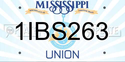 1IBS263 Mississippi License Plate