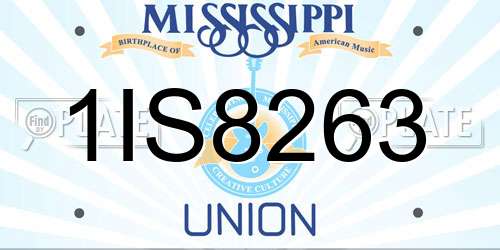 1IS8263 Mississippi License Plate