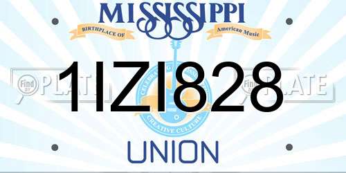 1IZI828 Mississippi License Plate