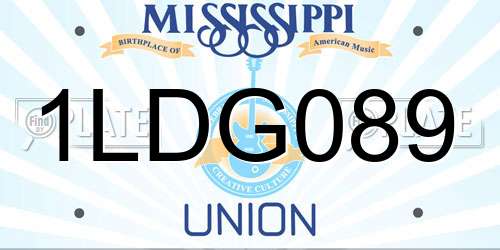 1LDG089 Mississippi License Plate