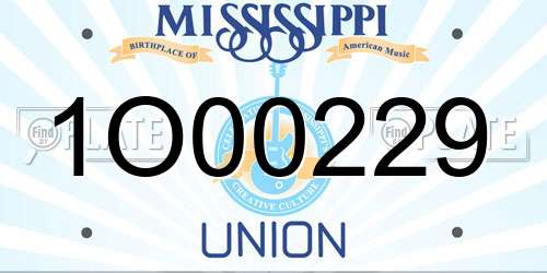 1O00229 Mississippi License Plate