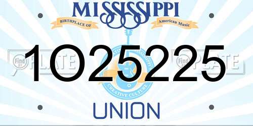 1O25225 Mississippi License Plate