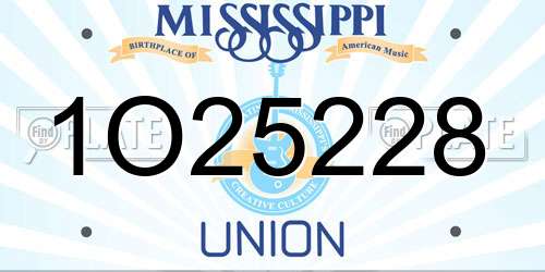 1O25228 Mississippi License Plate