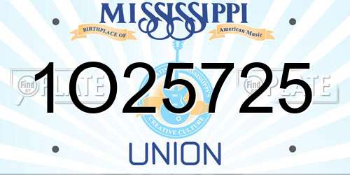 1O25725 Mississippi License Plate