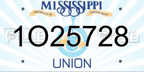 1O25728 Mississippi License Plate