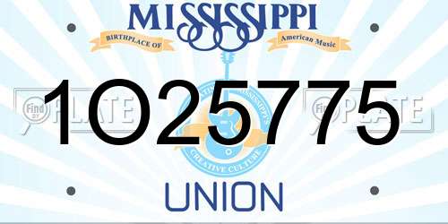 1O25775 Mississippi License Plate