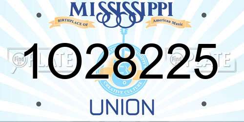 1O28225 Mississippi License Plate