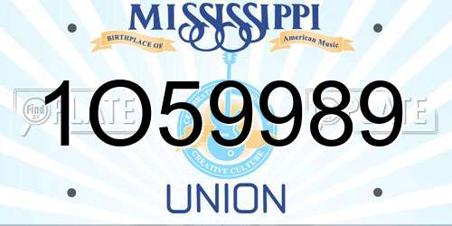 1O59989 Mississippi License Plate
