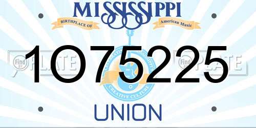 1O75225 Mississippi License Plate