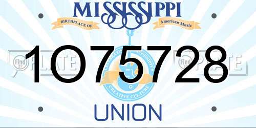 1O75728 Mississippi License Plate