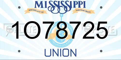 1O78725 Mississippi License Plate