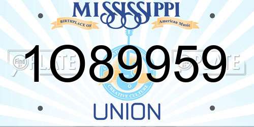 1O89959 Mississippi License Plate