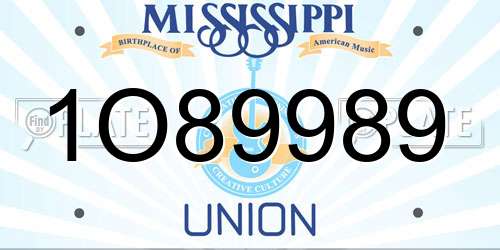 1O89989 Mississippi License Plate
