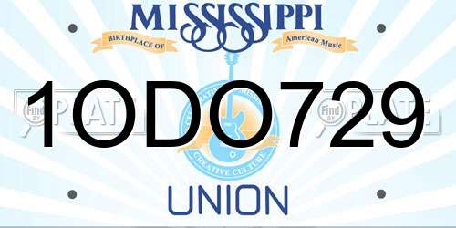 1ODO729 Mississippi License Plate
