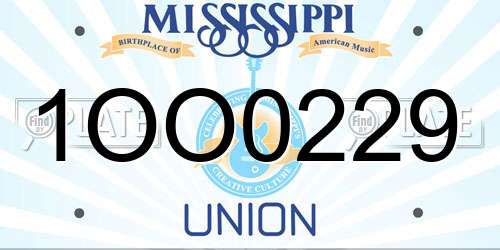 1OO0229 Mississippi License Plate