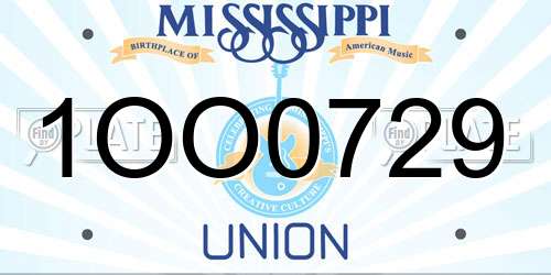 1OO0729 Mississippi License Plate