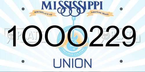 1OOO229 Mississippi License Plate