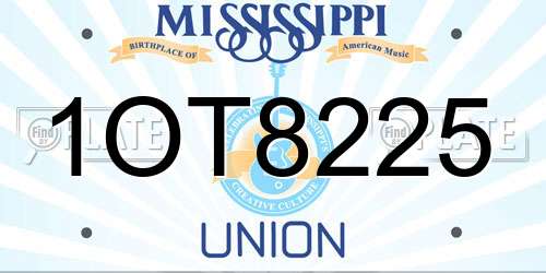 1OT8225 Mississippi License Plate